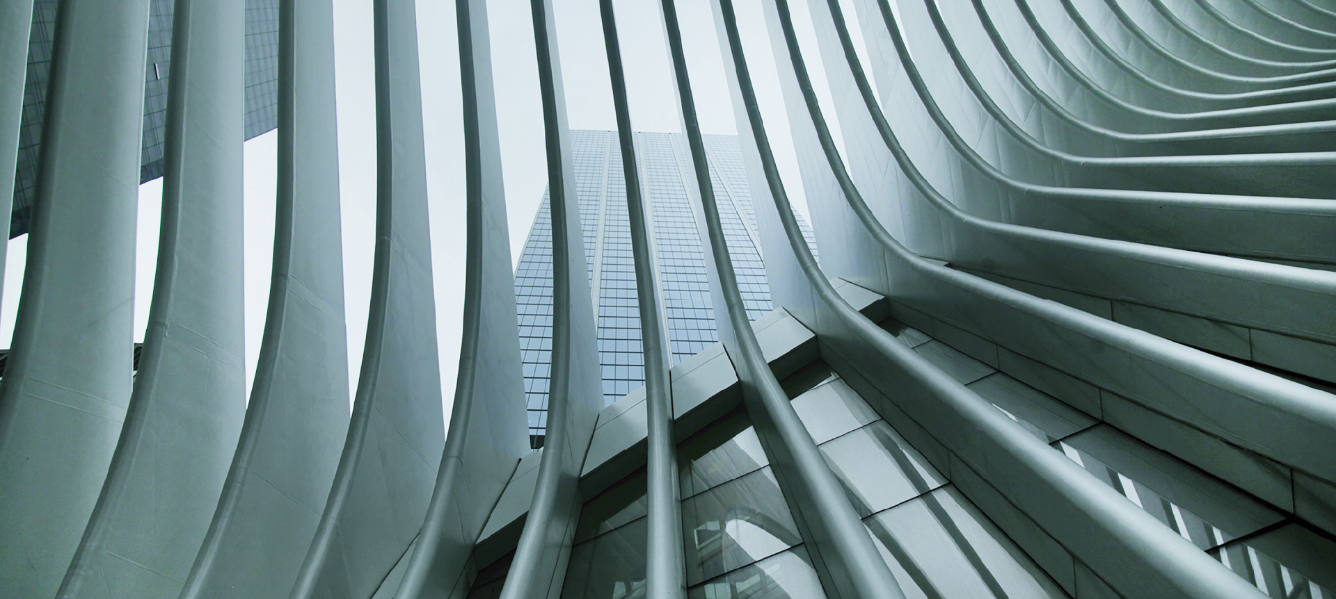 Innovative Solutions for a Sustainable Tomorrow
